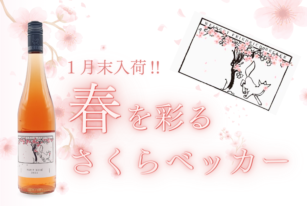 【今年も入荷！】春を呼ぶロゼワイン「さくらベッカー2024」のご案内